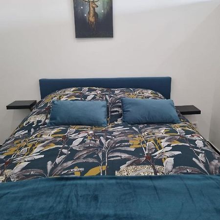 Apartamento Les Mirabelles Metz Exterior foto